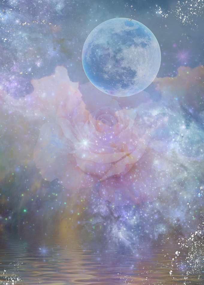 Celestial Rose Dream