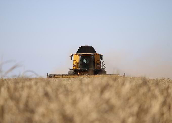 New Holland Combine in the Field