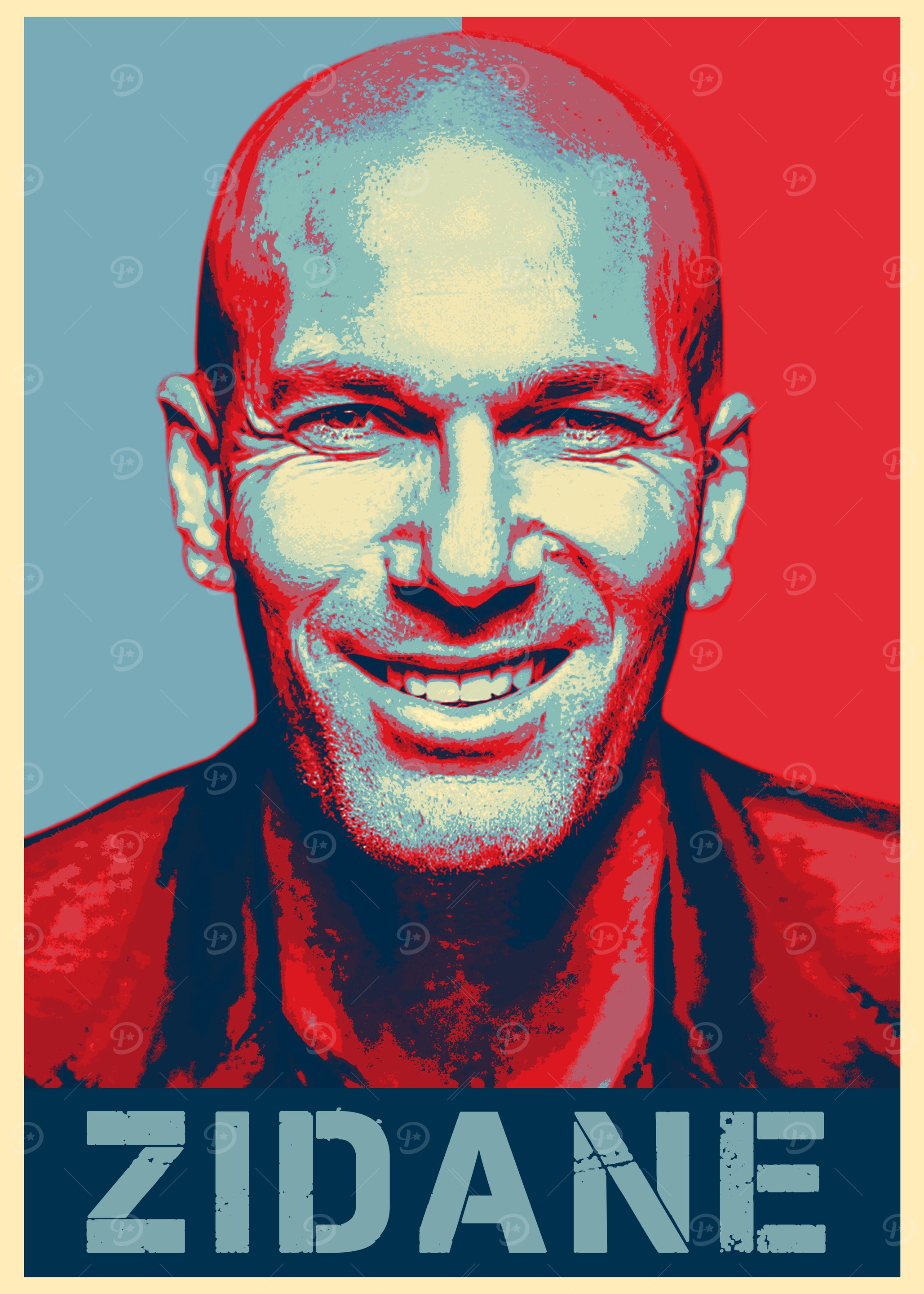 Zidane Hope Poster