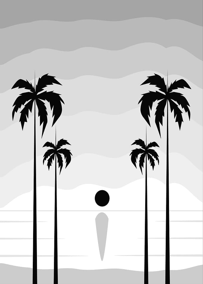 Palm Trees Silhouette