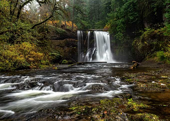 Waterfall in Lush Forest