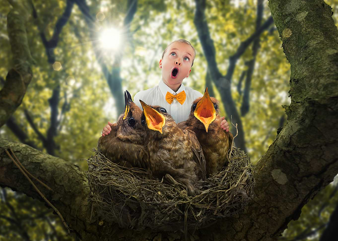 Boy in Bird Nest