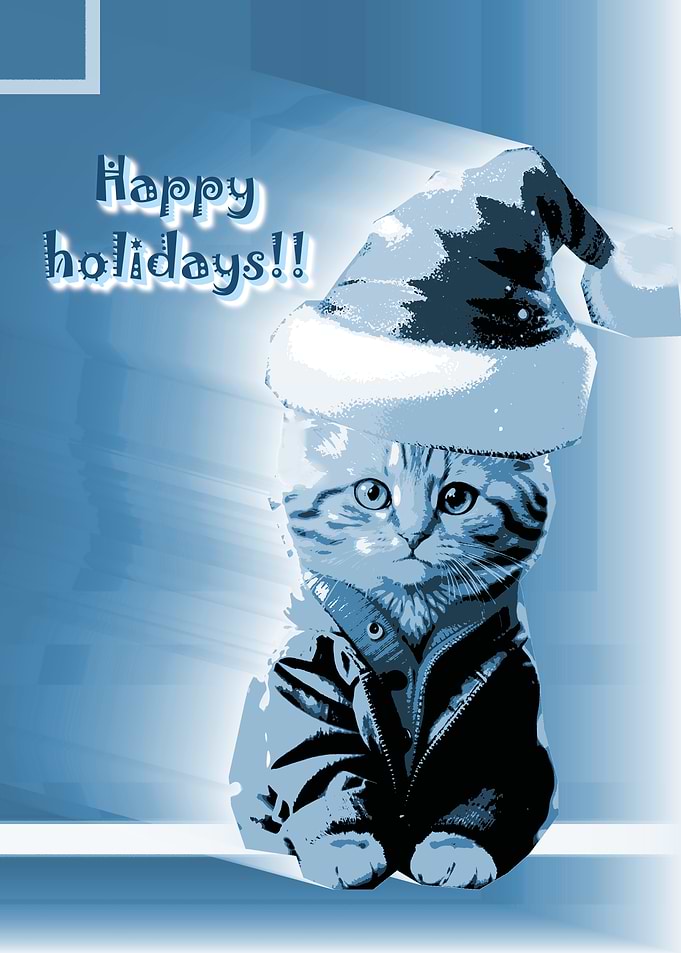 Cat in Santa Hat