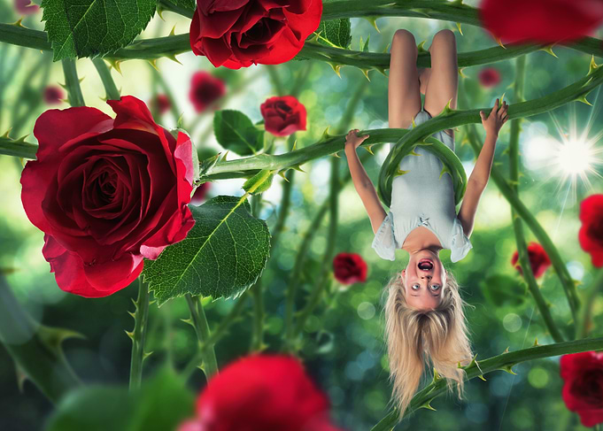 Girl Hanging Upside Down in Rose Garden