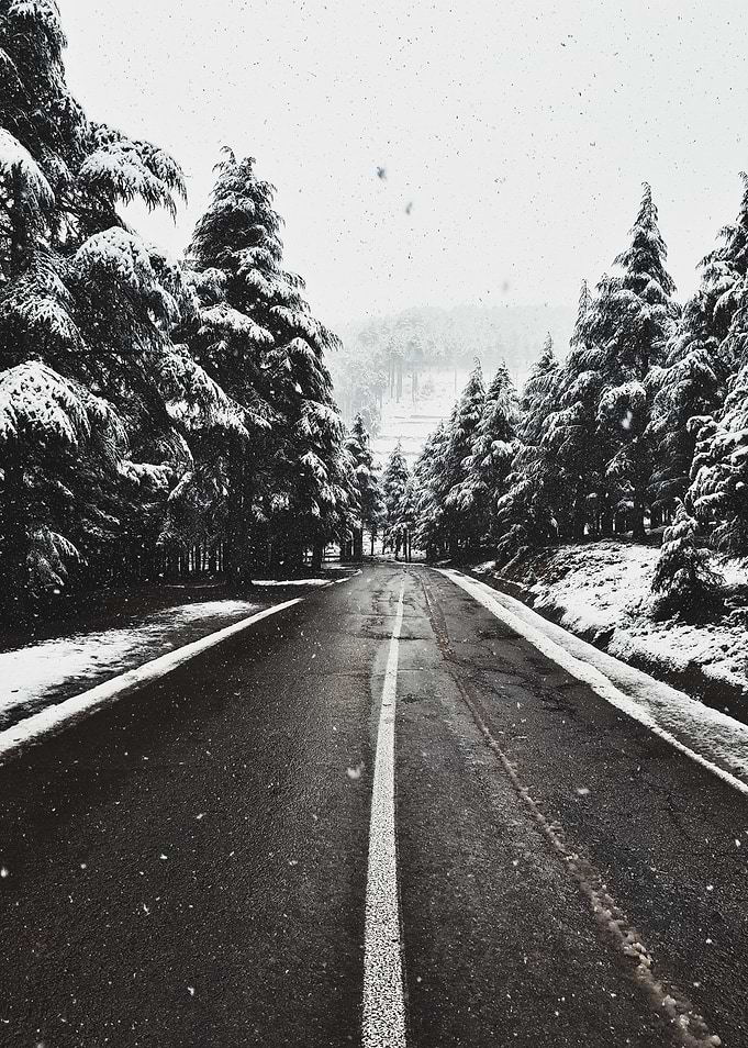 Snowy Road Through Forest