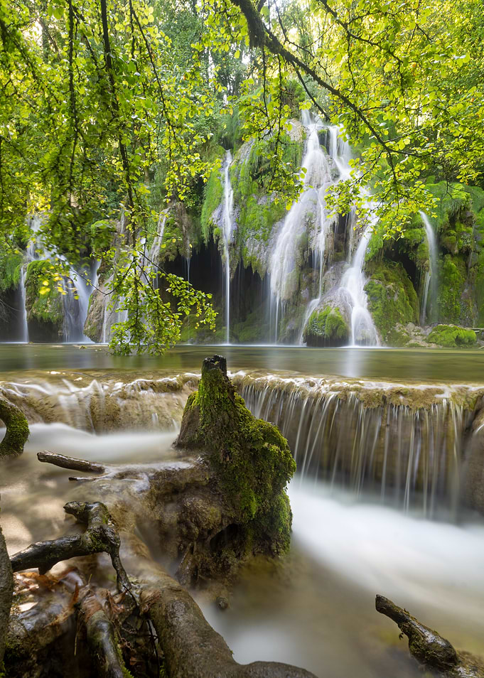 Waterfall in Lush Forest