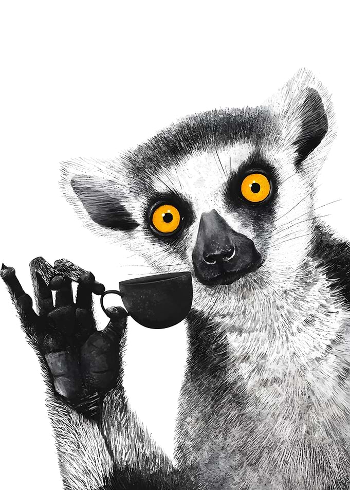 Lemur with Coffee Cup