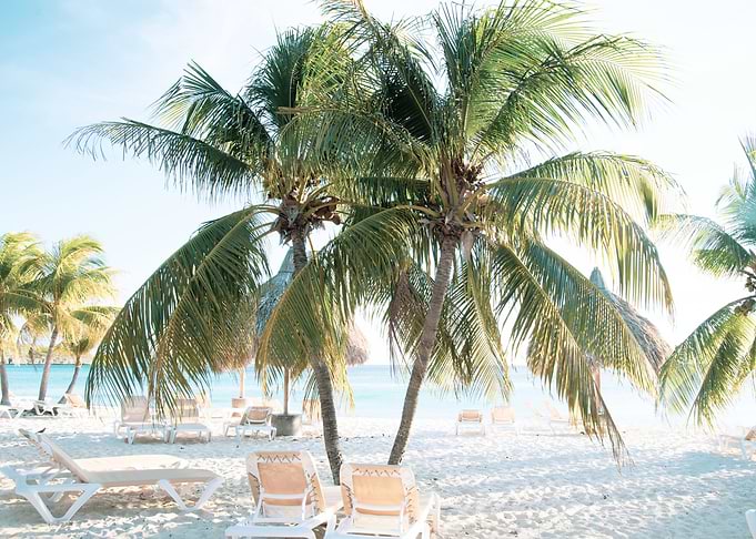 Caribbean Beach Bliss 7