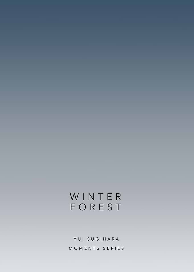 Winter Forest