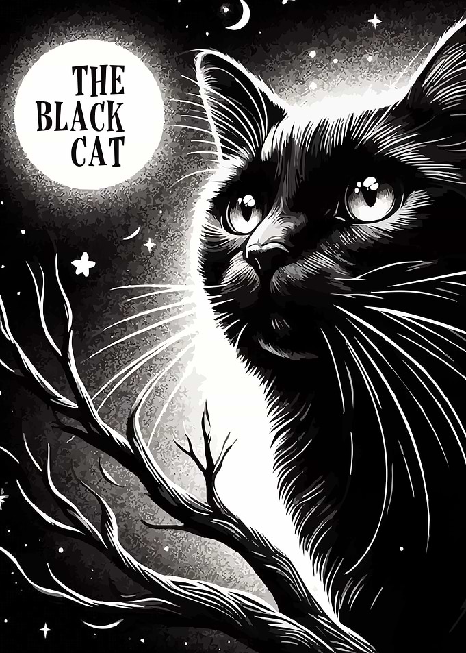 Black Cat Under Moonlight