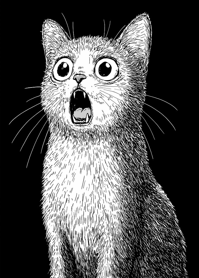 Surprised Cat Illustration