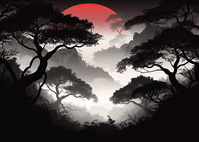 Silhouetted Forest Landscape