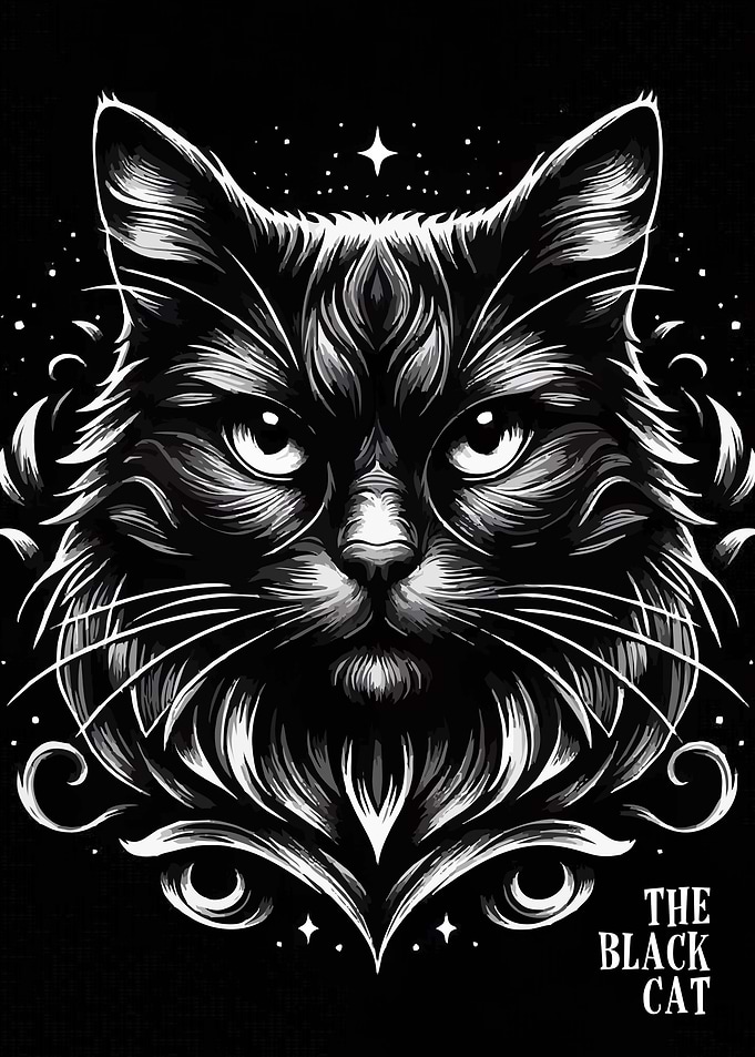 Black Cat Portrait