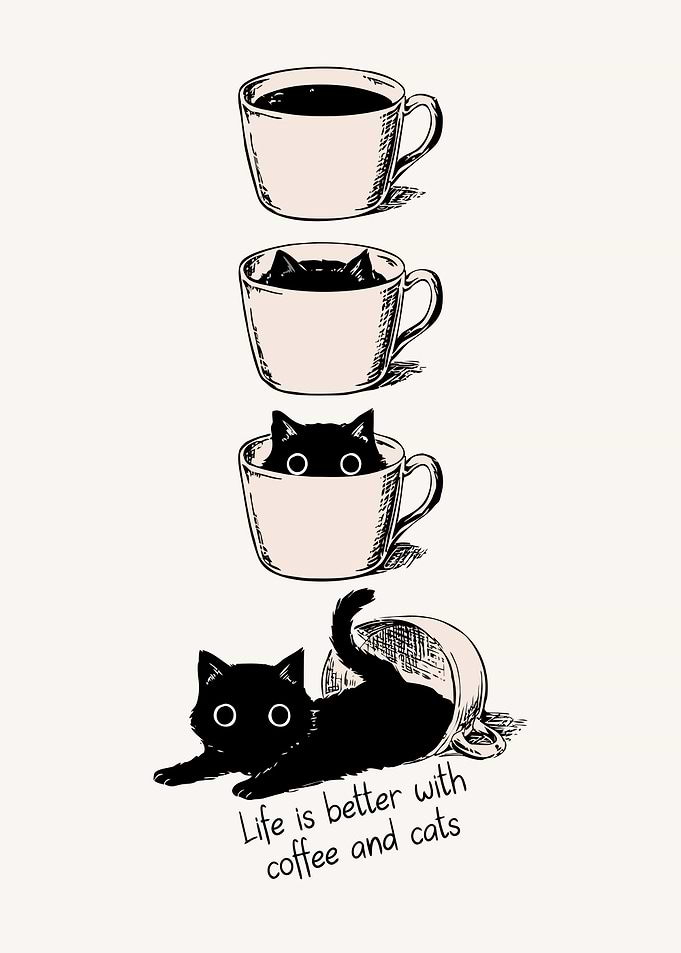 Coffee & Cats Illustration