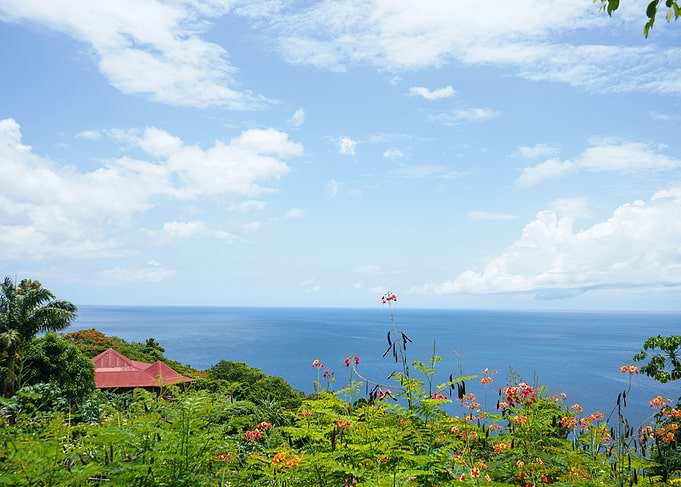 Tropical Ocean View