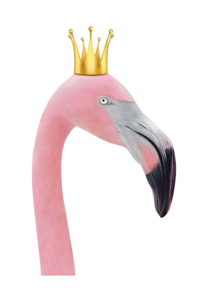 Flamingo with Crown