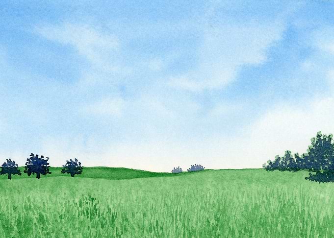 Meadow Memories
