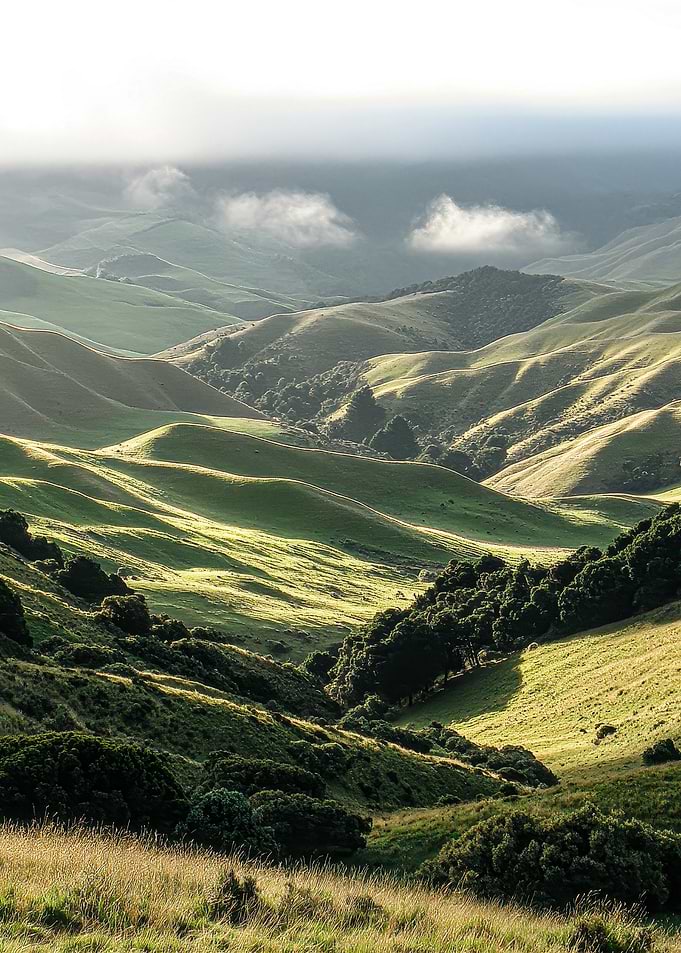 Rolling Green Hills