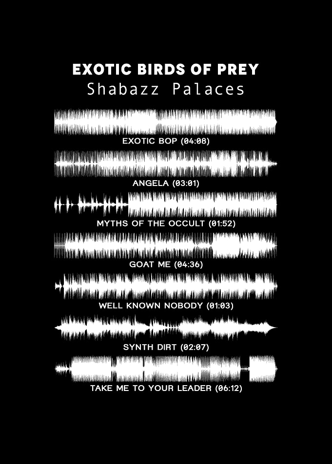 Shabazz Palaces