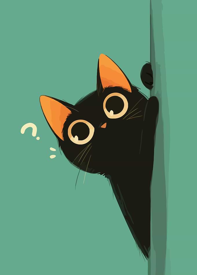Curious Black Cat