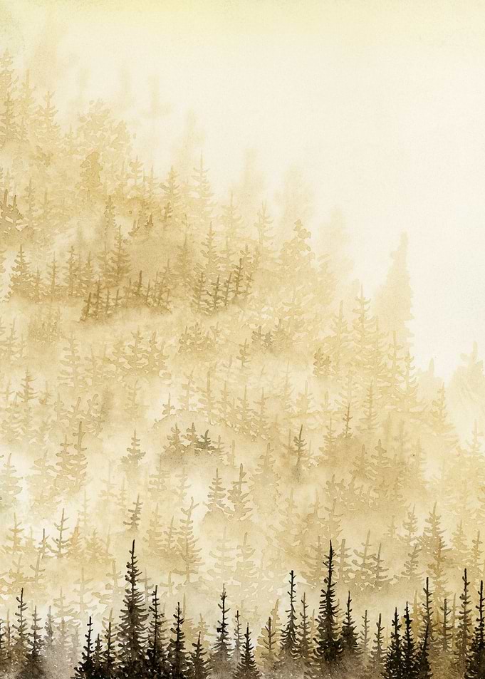 Misty Ochre Forest