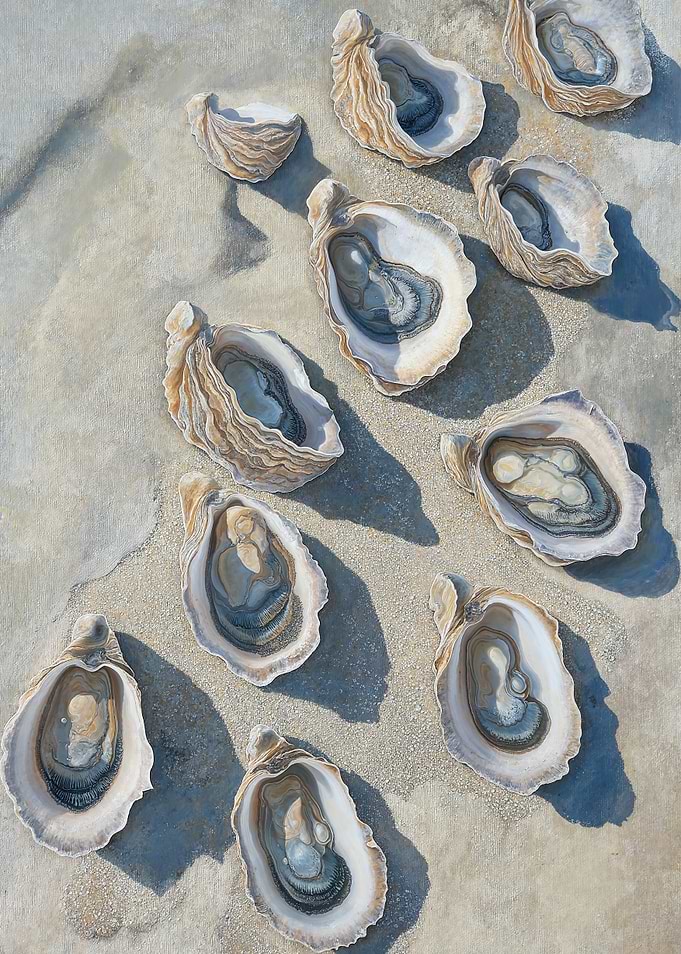 Oyster Shells Beach Ocean Art