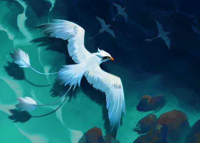 Ocean Birds