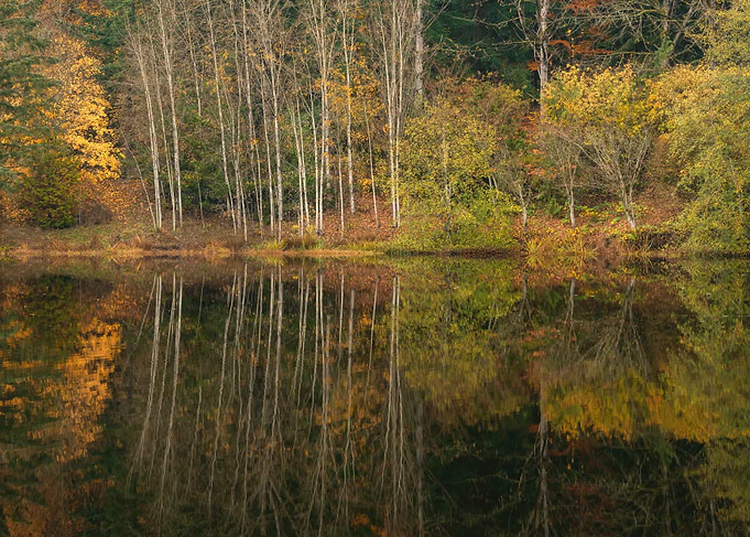 Echoes of Fall