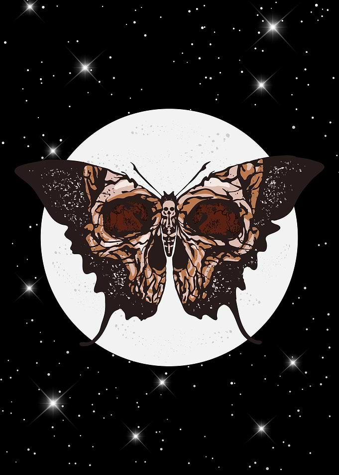 Death's Head Moth