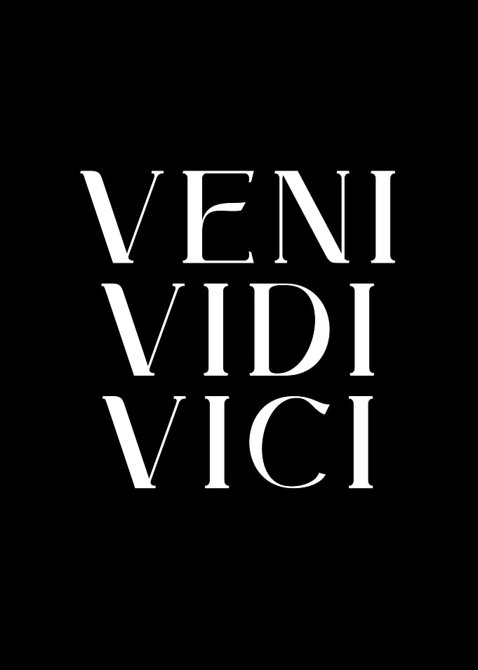 Veni Vidi Vici Quote