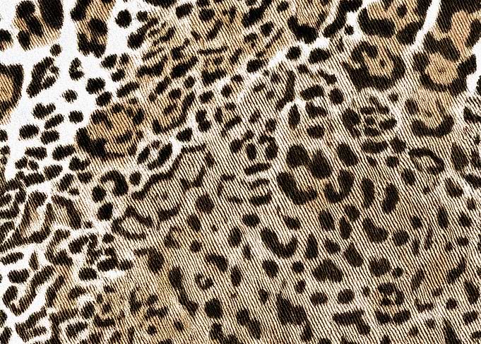 Leopard Print Fabric