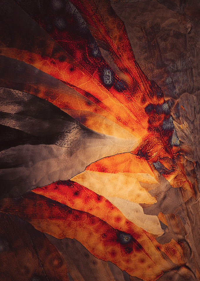 Abstract Fire & Earth crystal pattern