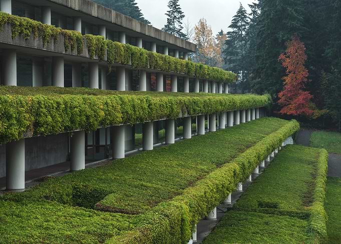Architectural Alchemy