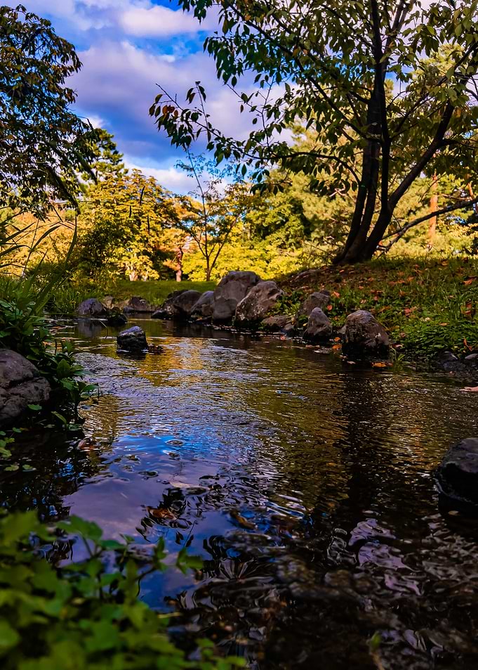 Serene Stream in Autumn
