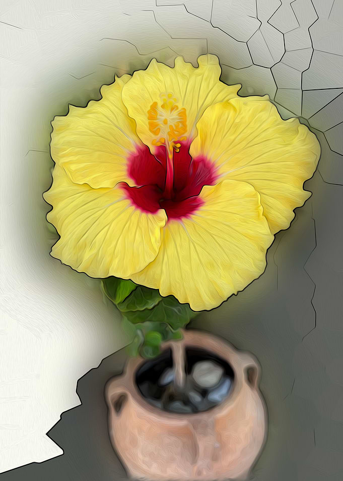 Yellow Hibiscus Flower