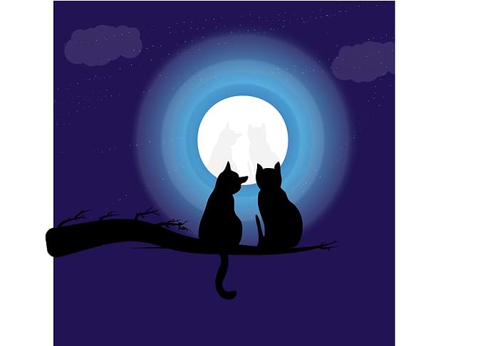 Moonlit Companions