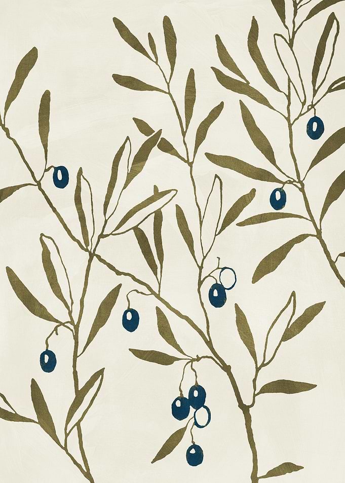 Olive Branch Illustration
