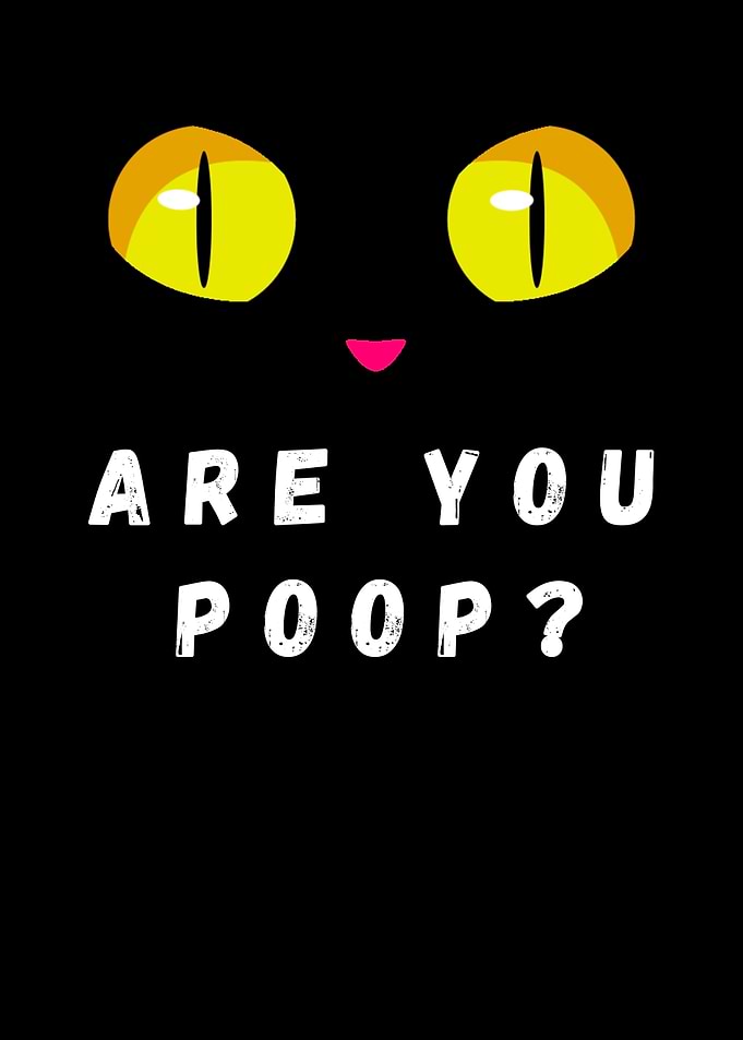 black cat are you poop Cat Eyes Are You Poop?