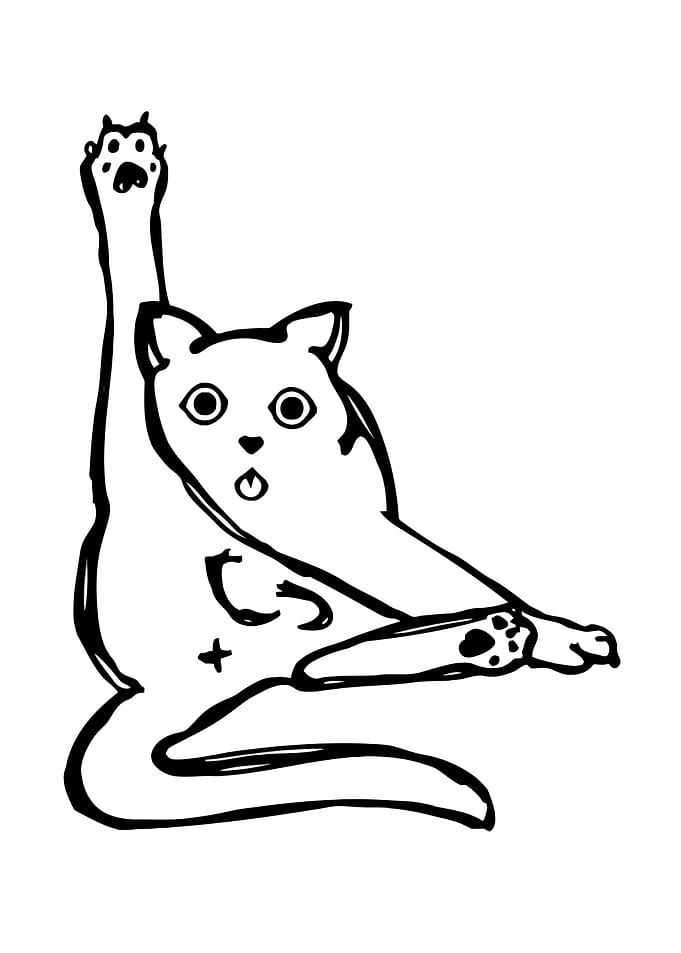 Surprised Cat Illustration