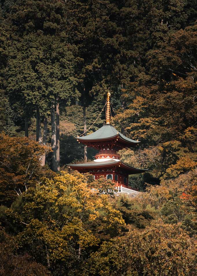 Japanese Pagoda in Forest