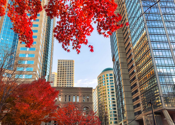 Autumn in the City