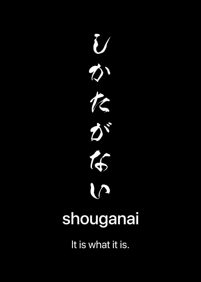 Shouganai Japanese Calligraphy Inspirational Motivational Quote