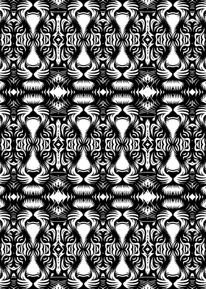Black and White Tiger Pattern