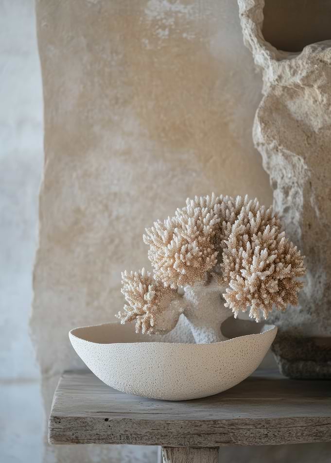 Coral Decor Bowl