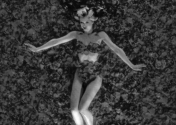 american beauty