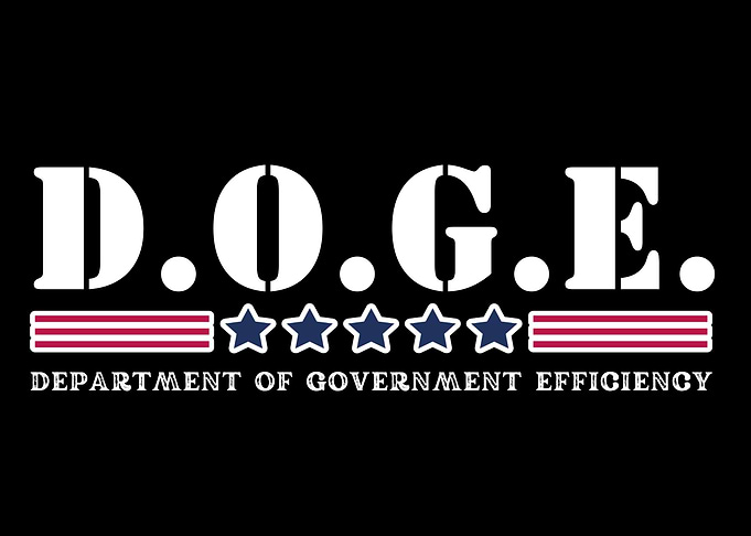 D.O.G.E. Department of Government Efficiency