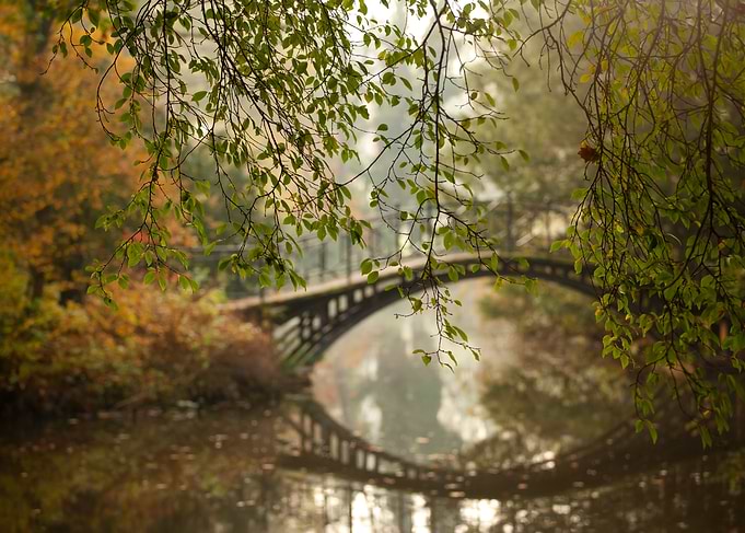 Autumn Bridge