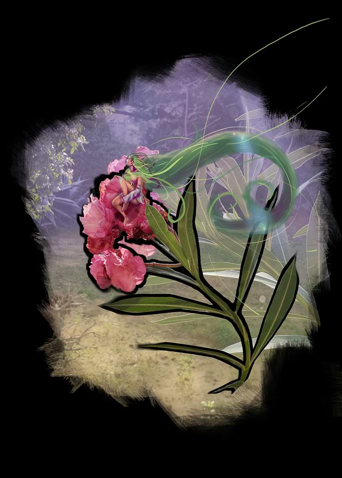 Blooming Fairy