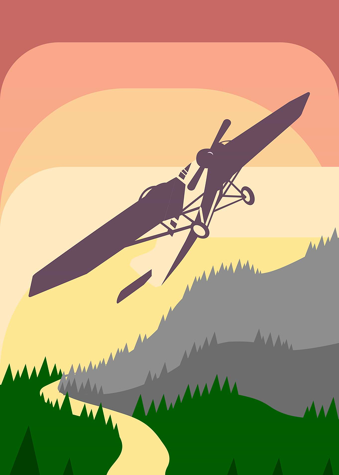 Sunset Flight