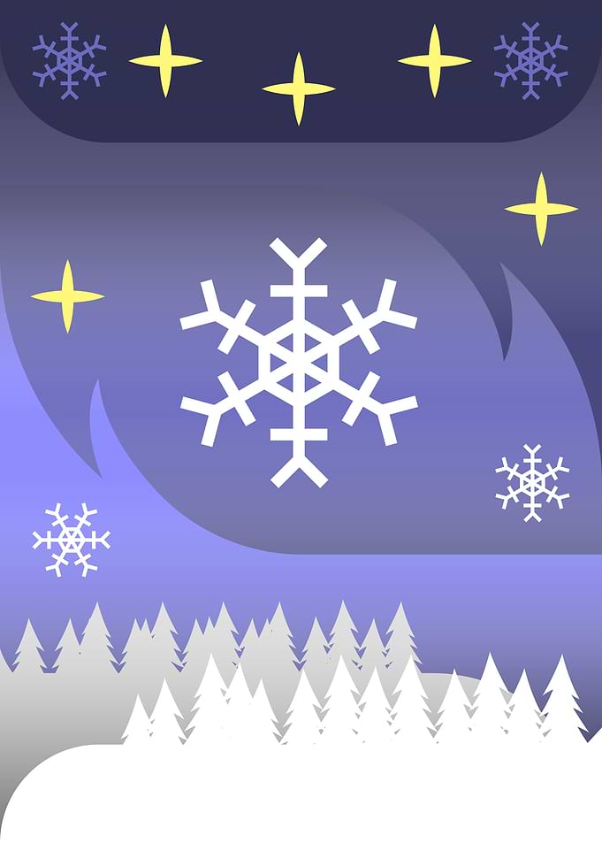 Winter Night Landscape
